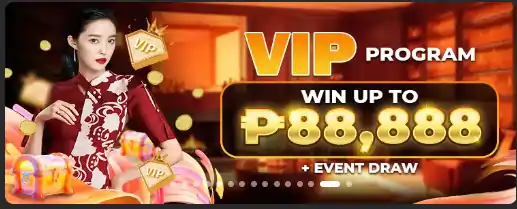 VIP PROGRAM