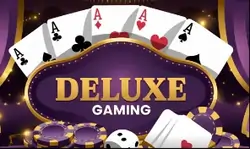 DELUXE GAMING CASINO