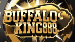 BUFFALO KING888 CASINO